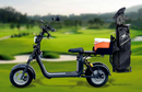 Windhorse: D2 Electric Golf Cart Scooter