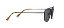 Palermo Black Bifocal Sunglasses by Peepers