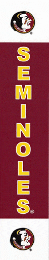 C-Thru NCAA Putter Clear Grips - Florida State Seminoles