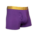 SHEATH 2.1 Men's Dual Pouch Trunks