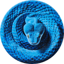 Custom Blue Snake Illusion Disc