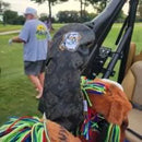 Sunfish: John Daly Driver Headcover - Black and Lime