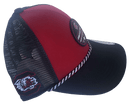 Black Clover: Collegiate Hat - South Carolina Gamer Snapback Hats