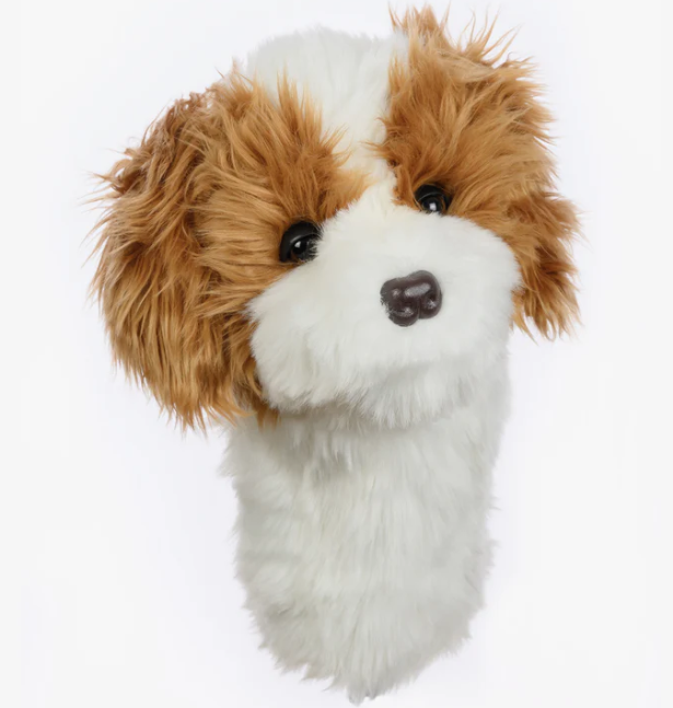 Daphne's Headcovers - Cavapoo Dog