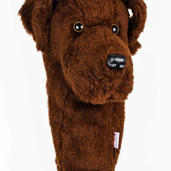 Choc_Lab_5_600x600_crop_center