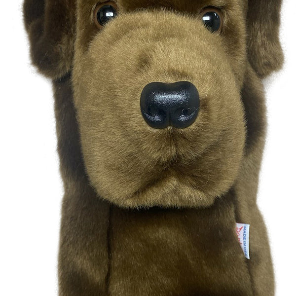 ChocolateLab_600x600_crop_cent