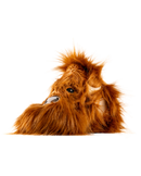 Highland Cow - Blade Putter Cover