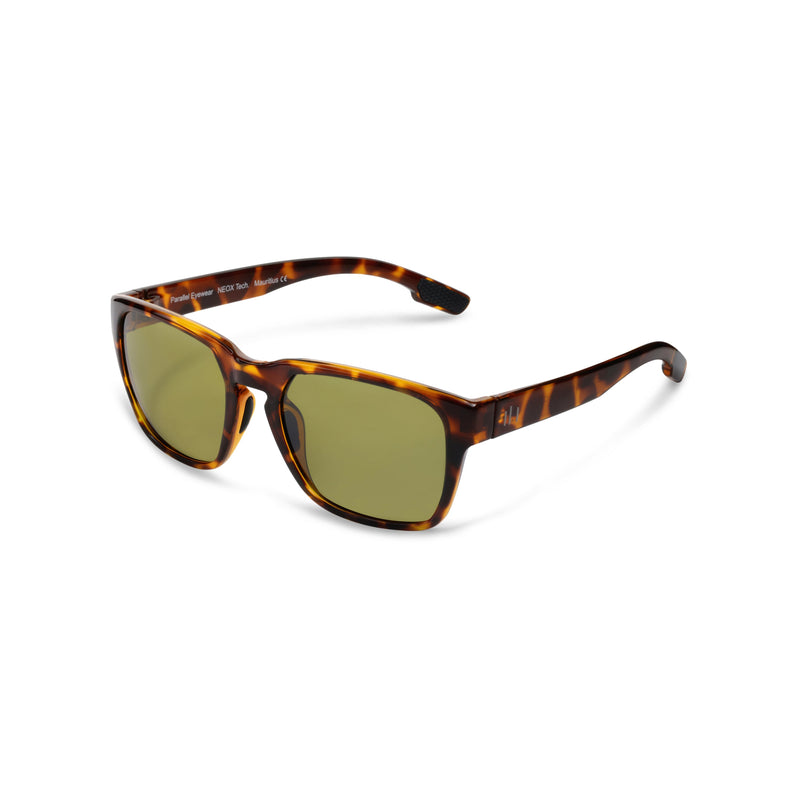 PEBBLE BEACH | Sunglasses