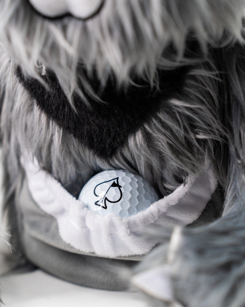 Koala - Driver Cover