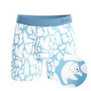 The Polar Polka | Polar Bear Scene Ball Hammock® Pouch Underwear With Fly