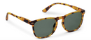 Solstice Tortoise Bifocal Sunglasses by Peepers