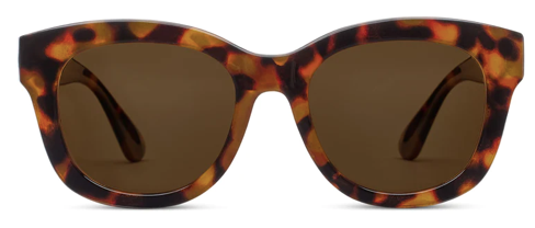 Center Stage Tortoise Bifocal Sunglasses by Peepers
