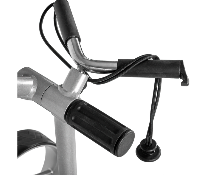 Bat-Caddy: Remote Control Golf Caddy - EVO II Remote