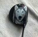 Par Skins: Custom Driver Skin