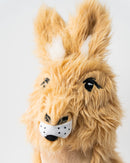 Kangaroo - Driver Cover