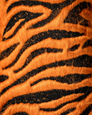 Tiger - Fairway Cover