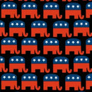 Sunfish: Elephant in the Room Polo