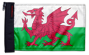 Wales 12"x18" Forever Wave Flag for Boats