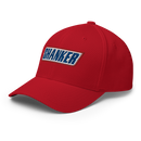Shanker