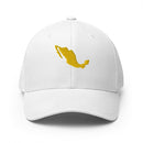Mexico - MVP - Yellow - White - [FlexFit]