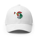 Rooster - Mexico