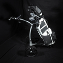 Cart-Tek Golf Carts: GRi-975Li Electric Golf Trolley