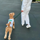 Caddie Uniform: Custom Caddie Bib for Dogs (25-90 lbs)