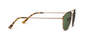 Palermo Gold Bifocal Sunglasses by Peepers