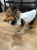 Caddie Uniform: Custom Caddie Bib for Dogs (25-90 lbs)