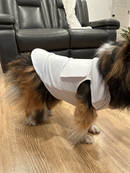 Caddie Uniform: Custom Caddie Bib for Dogs (25-90 lbs)