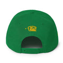 Talk Birdie to Me - Snapback Hat