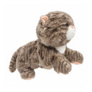 Tabby Cat Driver Headcover | Nine Lives, Eighteen Holes