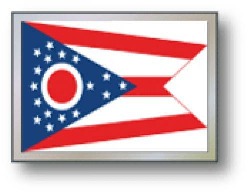 SSP Flags: 11x15 inch Golf Cart Replacement Flag - Ohio