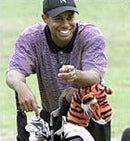 Daphne's HeadCovers: Tiger Golf Club Cover