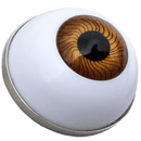 ReadyGolf: Eye Ball Marker & Hat Clip - Brown