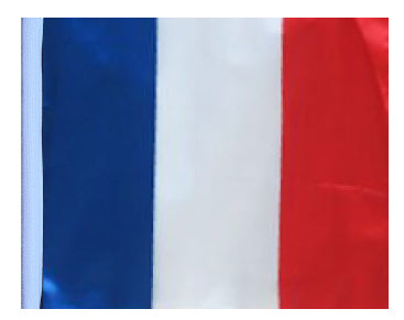 SSP Flags: 11x15 inch Golf Cart Replacement Flag - France