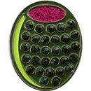 ReadyGolf: Martini Olive Ball Marker & Hat Clip with Crystals
