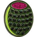 ReadyGolf: Martini Olive Ball Marker & Hat Clip with Crystals