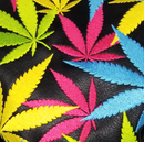 Weed All-Over Embroidered Driver Headcover by ReadyGOLF