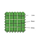 Golf Knickers: Mens Plaid 'Limited Edition' Golf Knickers & Cap - Lime Clothing