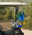 Daphne's HeadCovers: Peacock